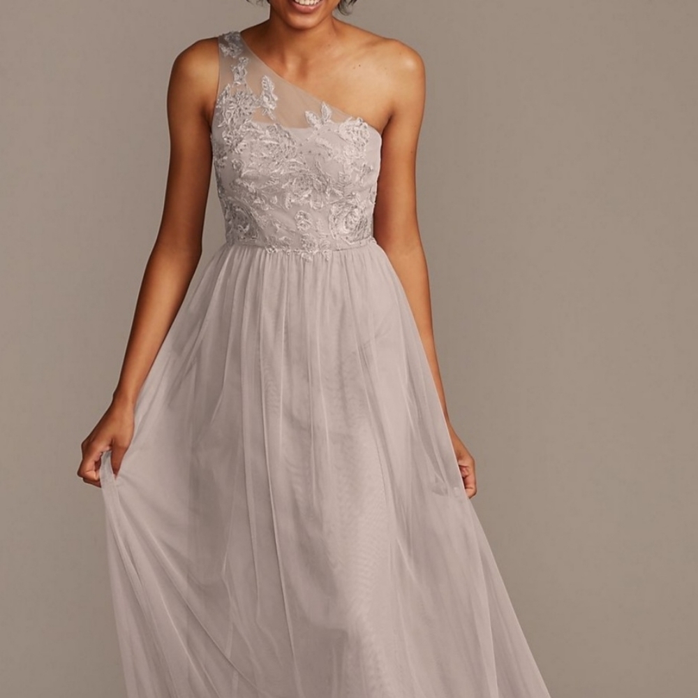 David's Bridal Embroidered Lace and Mesh Dress